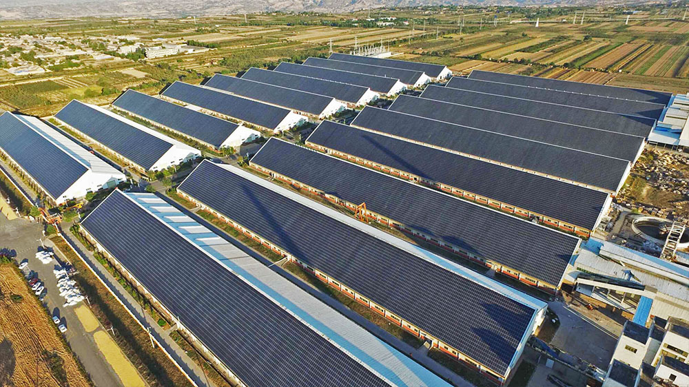 ����������(�й�)������-�й�����